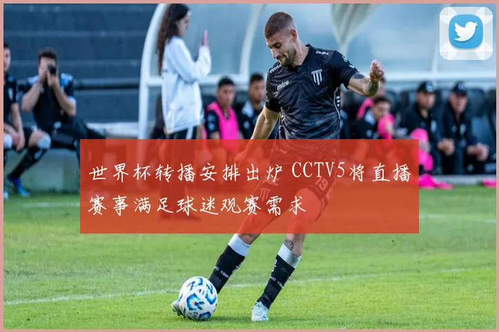 世界杯转播安排出炉 CCTV5将直播赛事满足球迷观赛需求